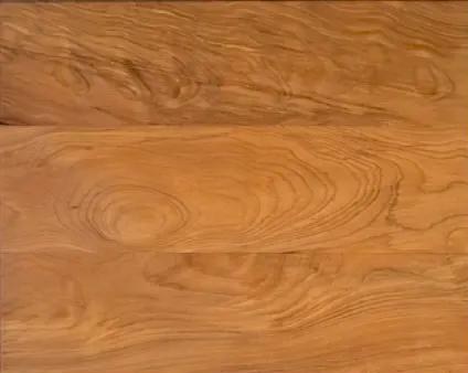 Beech timber grain