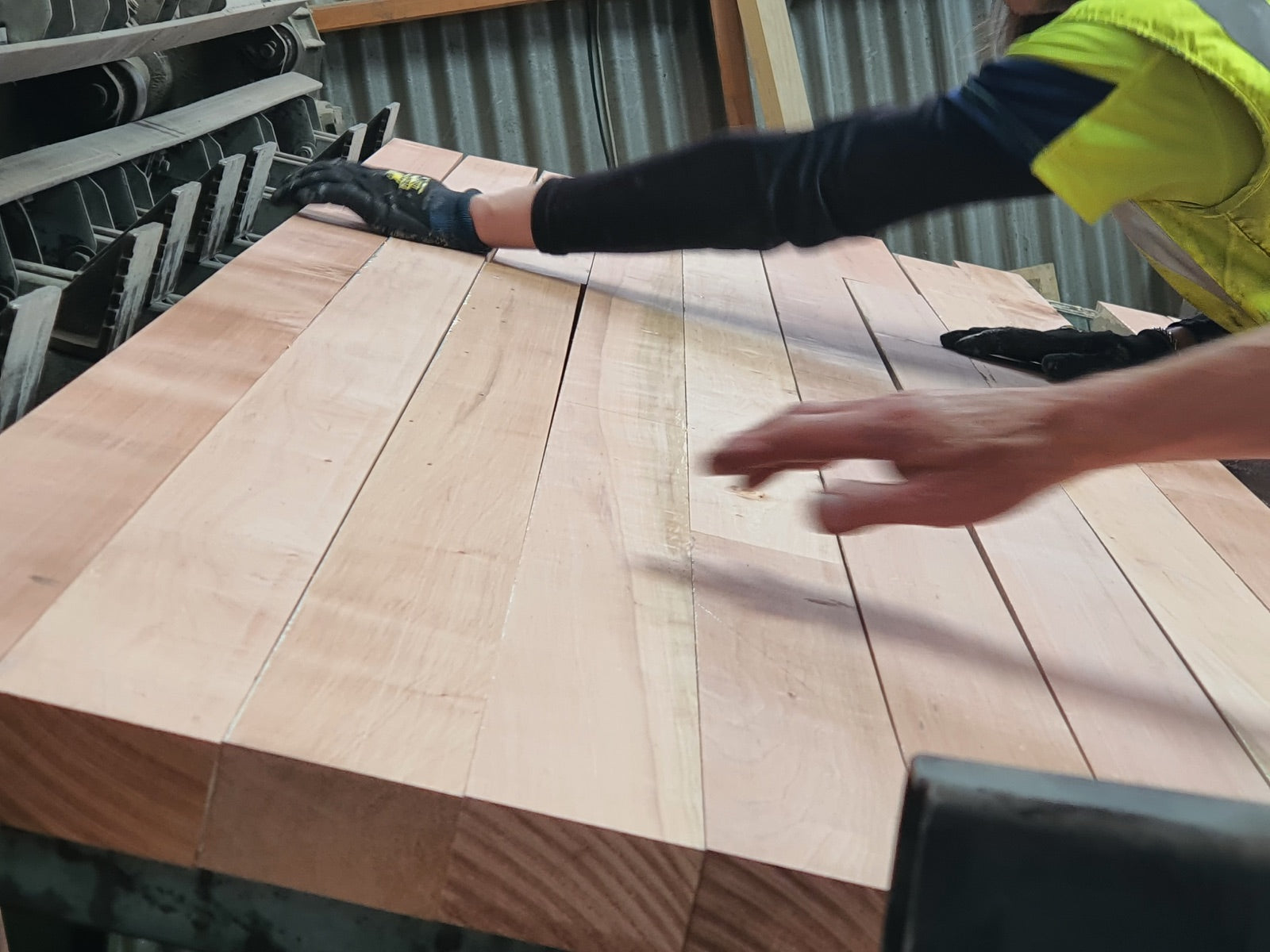 West Coast Beech boards being loaded into a laminating press.