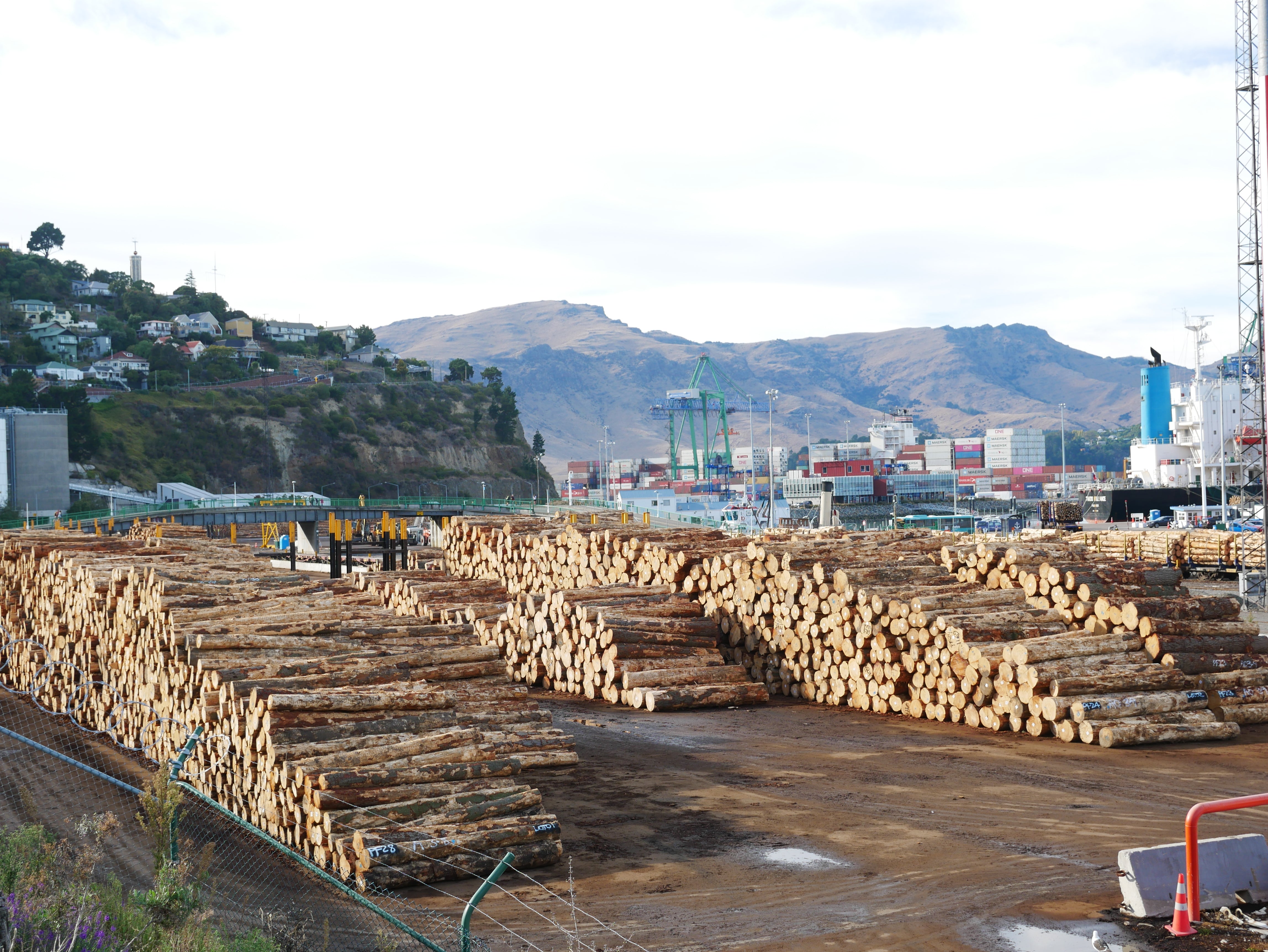 Exporting New Zealand Timber: Sustainability, Design, and Global Impact