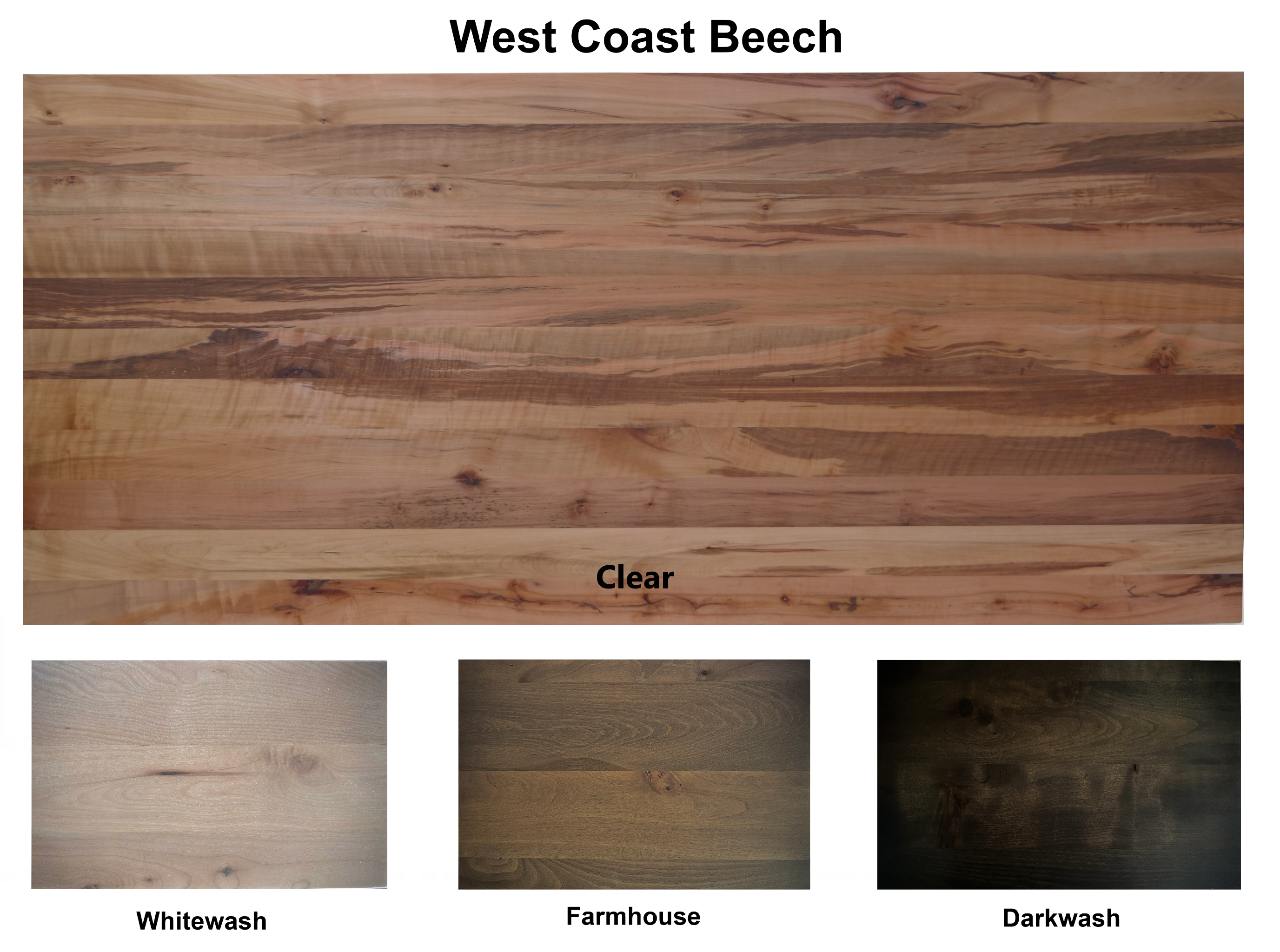 Beech Colour Swatch Innate Furniture