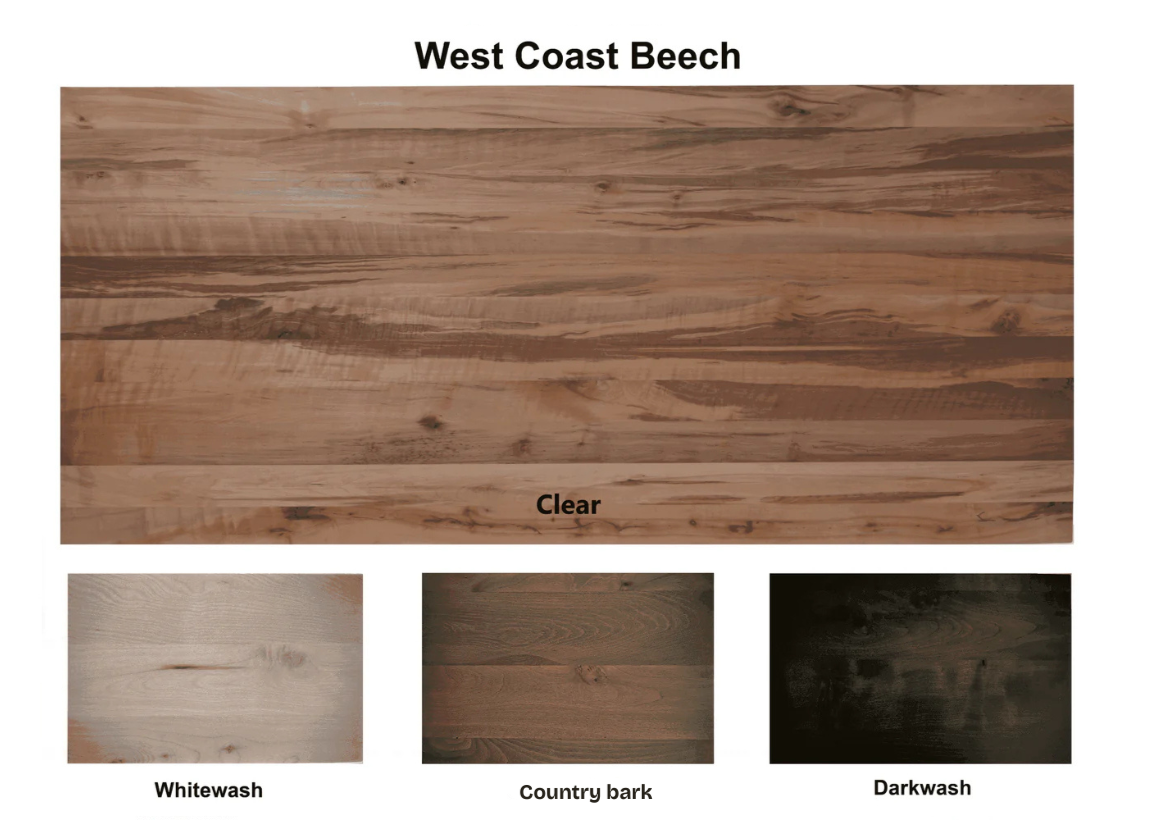 Wooden panel with 'West Coast Beech' label and four color swatches below on a white background.