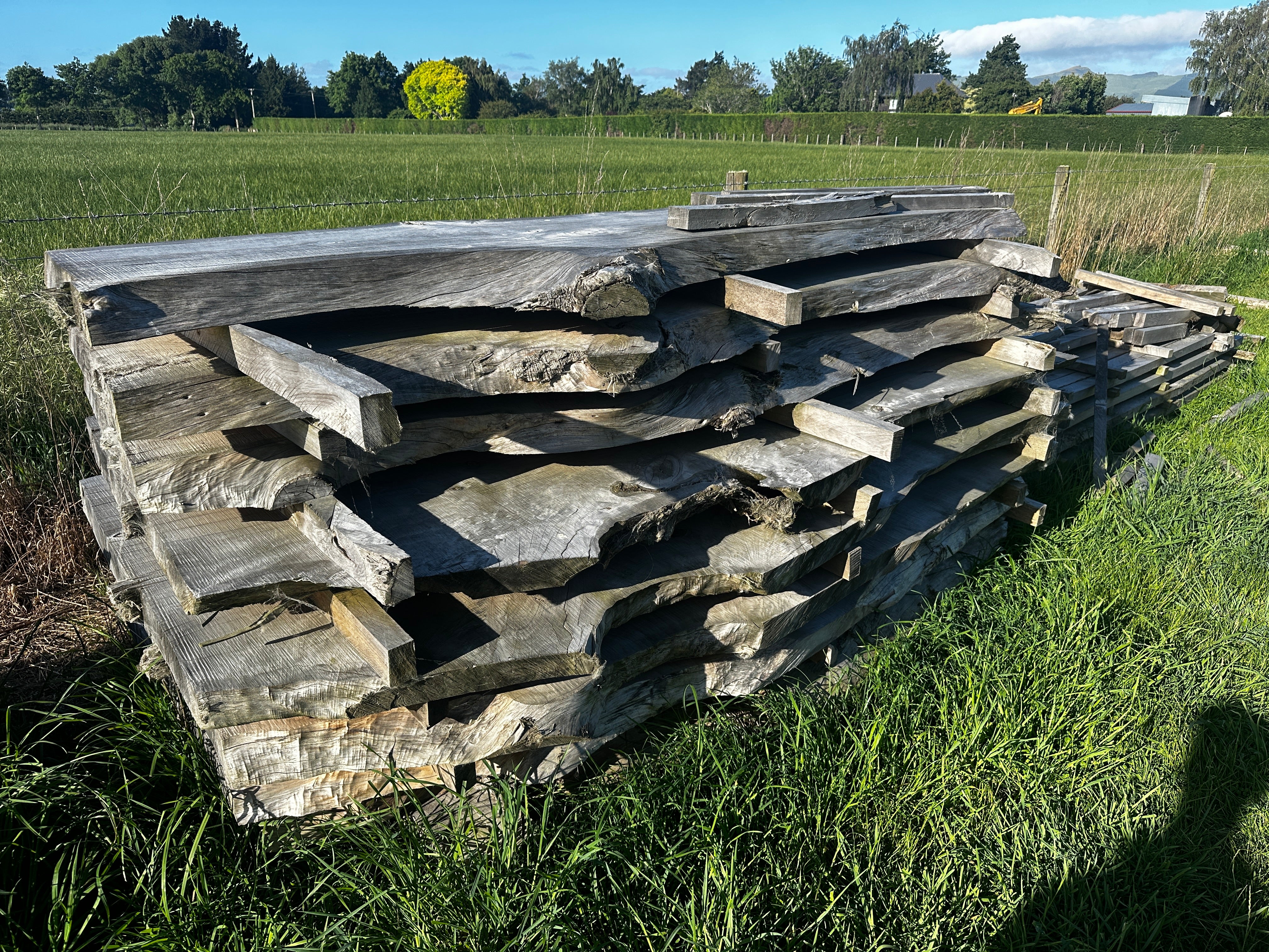 Macrocarpa Slabs