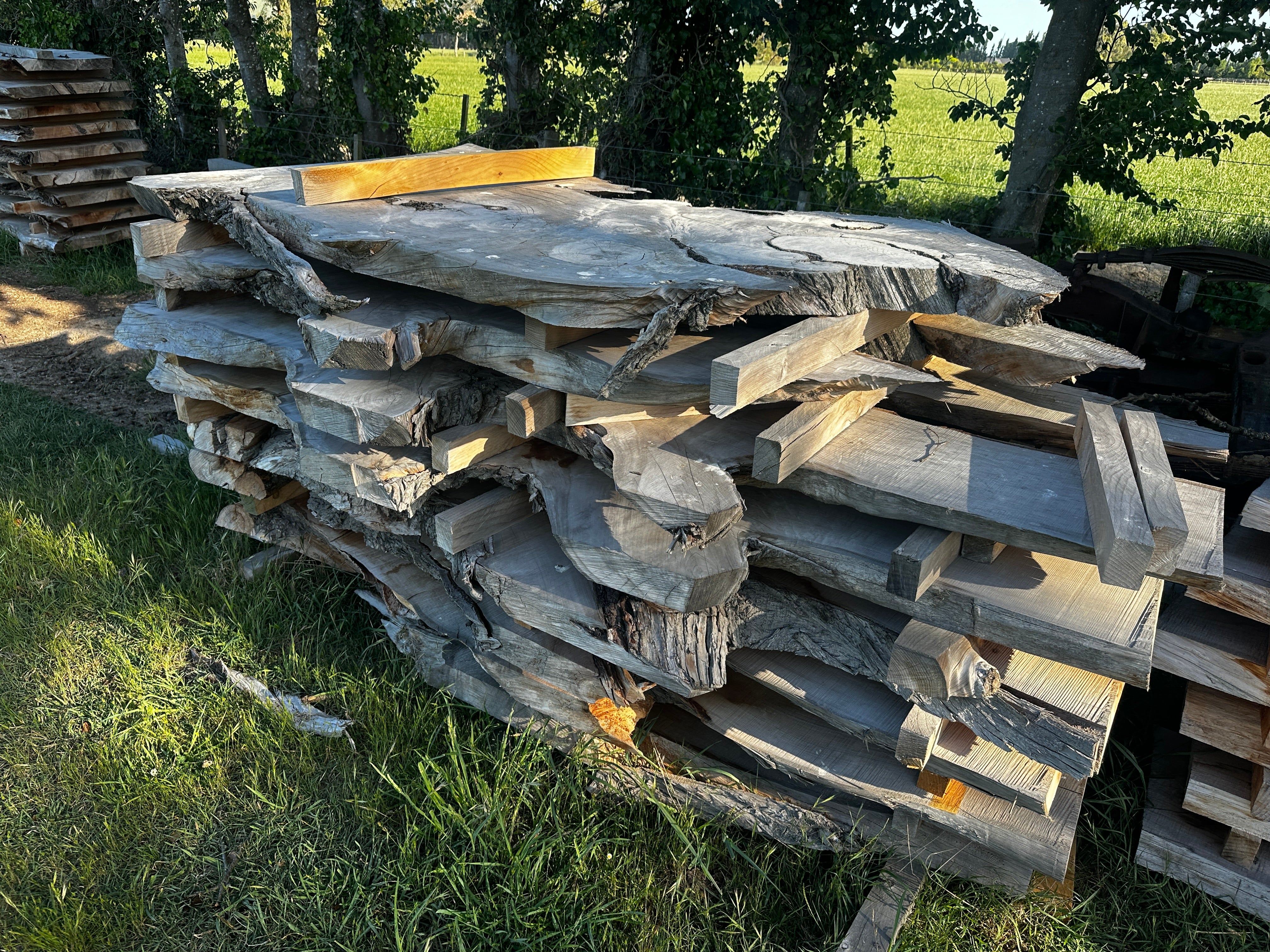 Macrocarpa Slabs