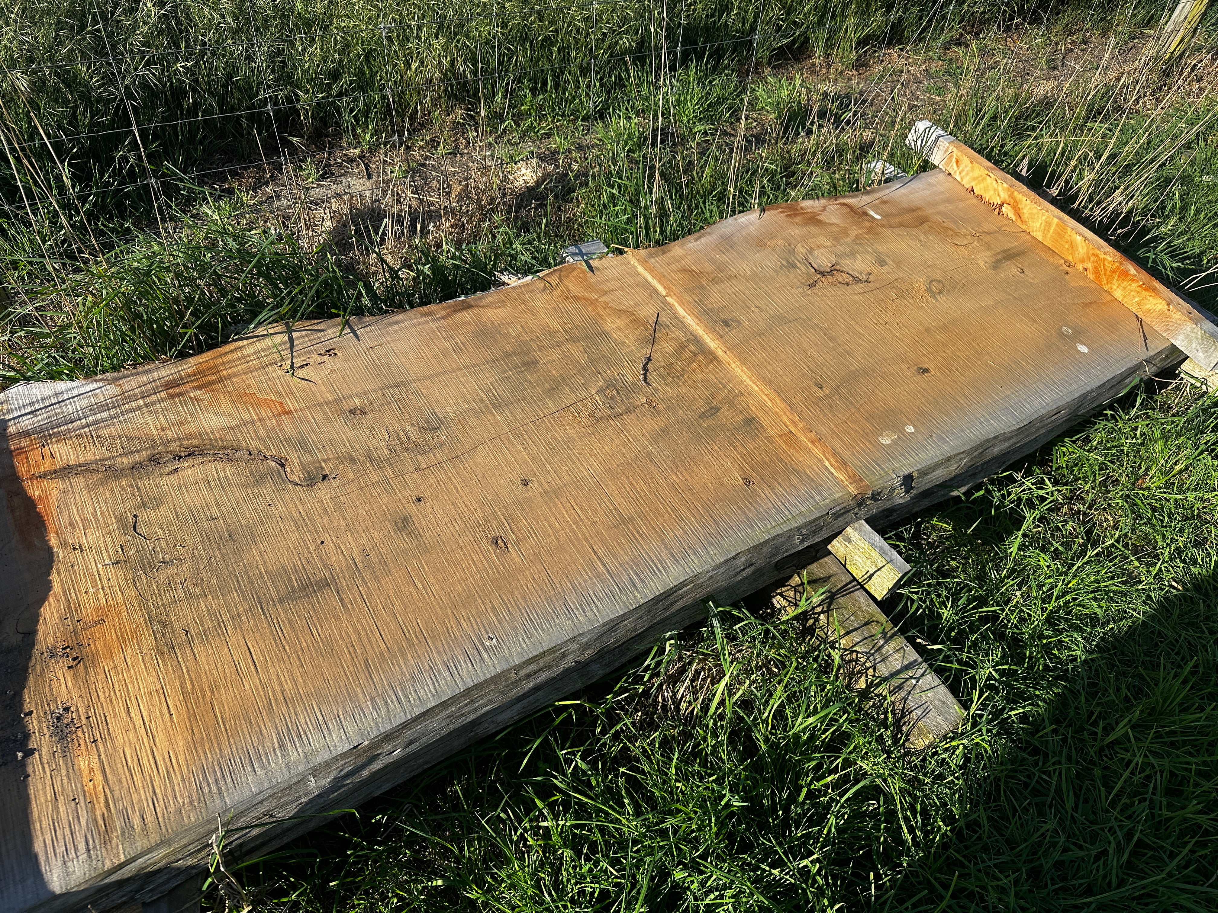 Macrocarpa Slabs