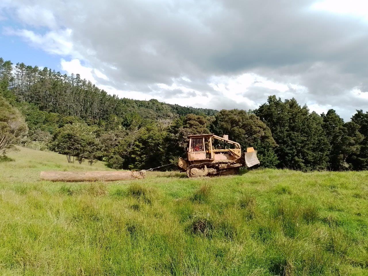 A bulldozer skidding a tōtara log across paddock at McGee Farm during a harvest in early 2026.