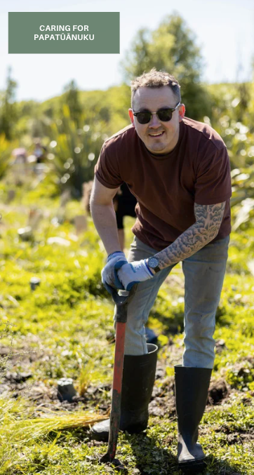 Person digging with a shovel in a garden or field